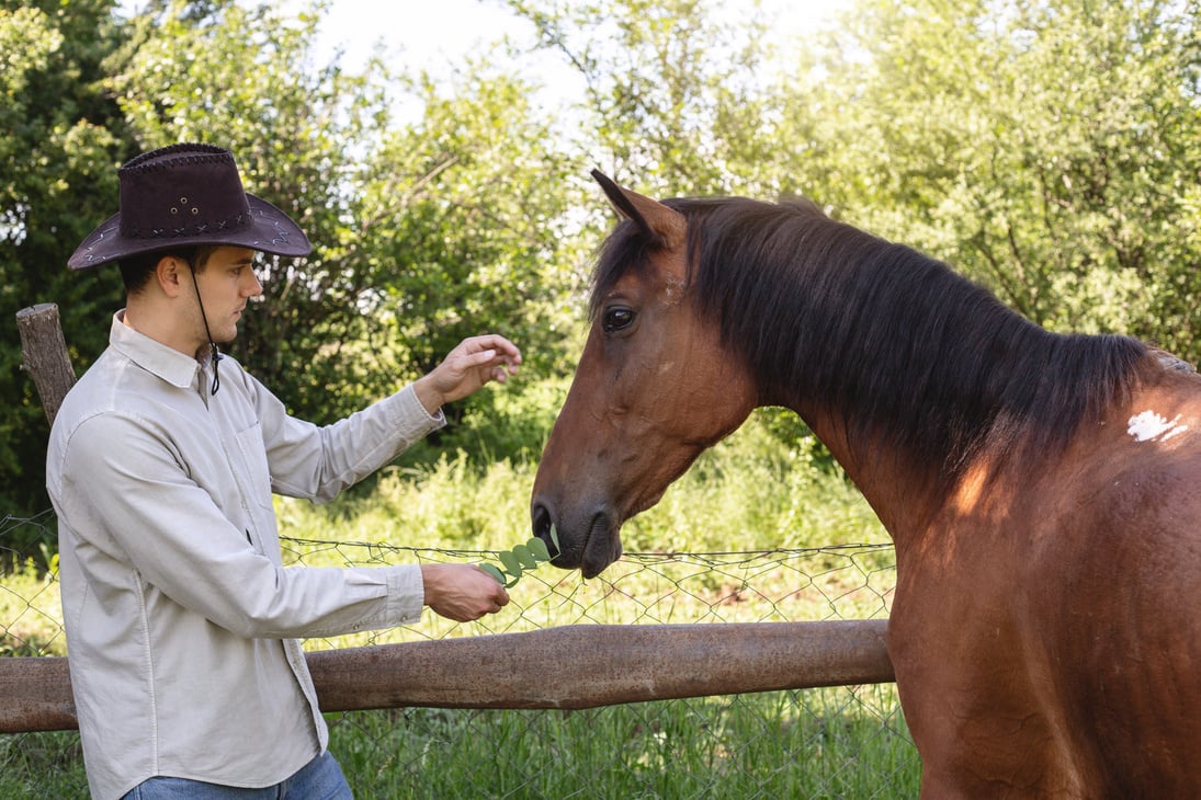 Taming expert calming down a horse