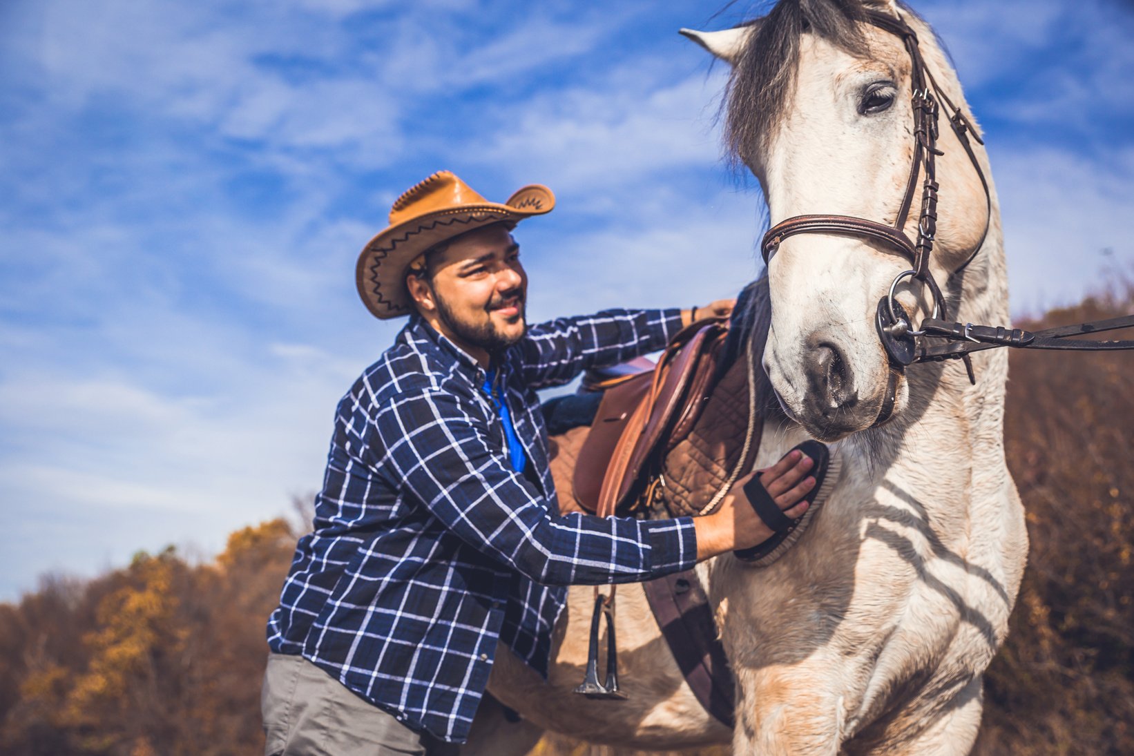 Man brushing a horse