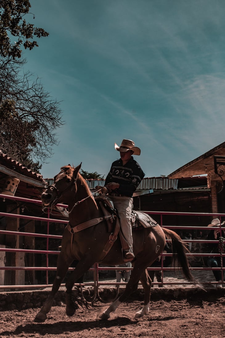 Woman in Black and White Striped Long Sleeve Shirt Riding Brown Horse